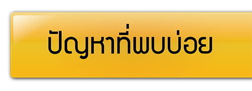 ปัญหาที่พบบ่อย